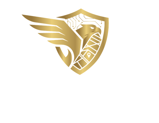 מערכת הנץ – Falcon System